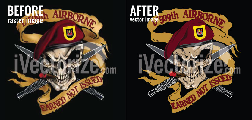 Before and after vector conversion